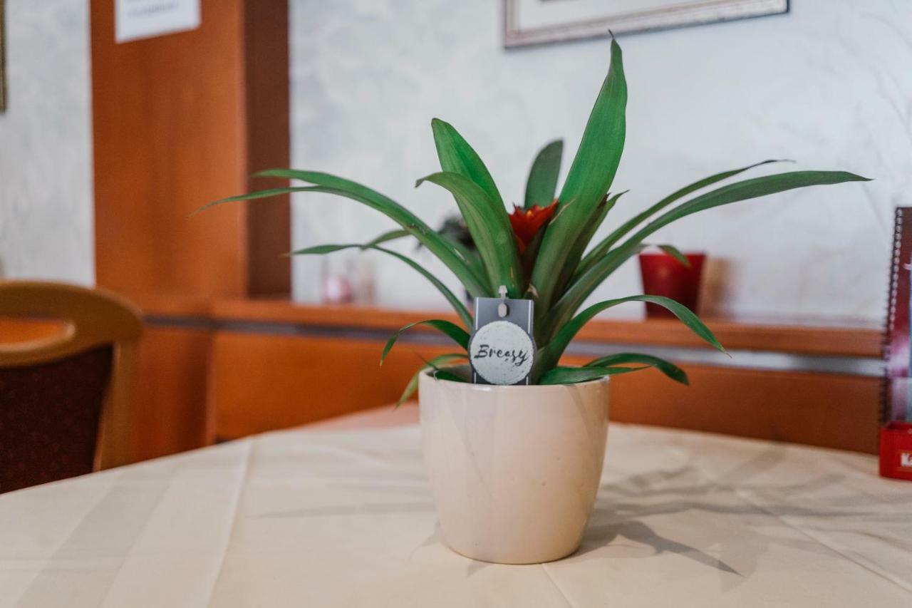 Guest House Sv. Nikola Dugo Selo Ngoại thất bức ảnh